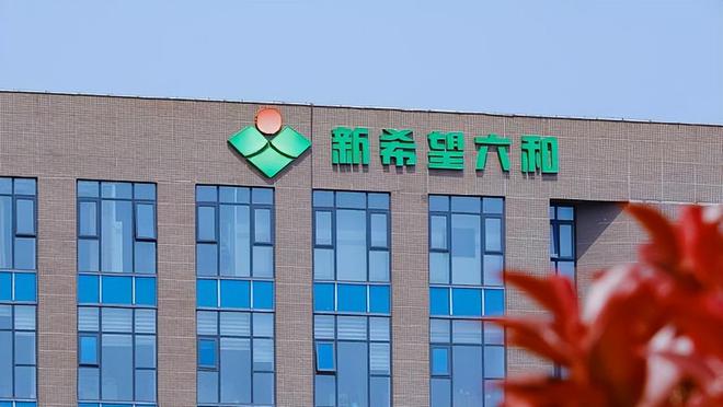 这5大方向连跌1年业绩有望大增迎来炒作AG真人平台app每年1月必炒业绩报(图4)