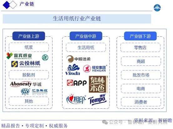 市场现状调研及发展趋势投资战略分析报告AG真人游戏第一品牌中国生活用纸行业(图2)